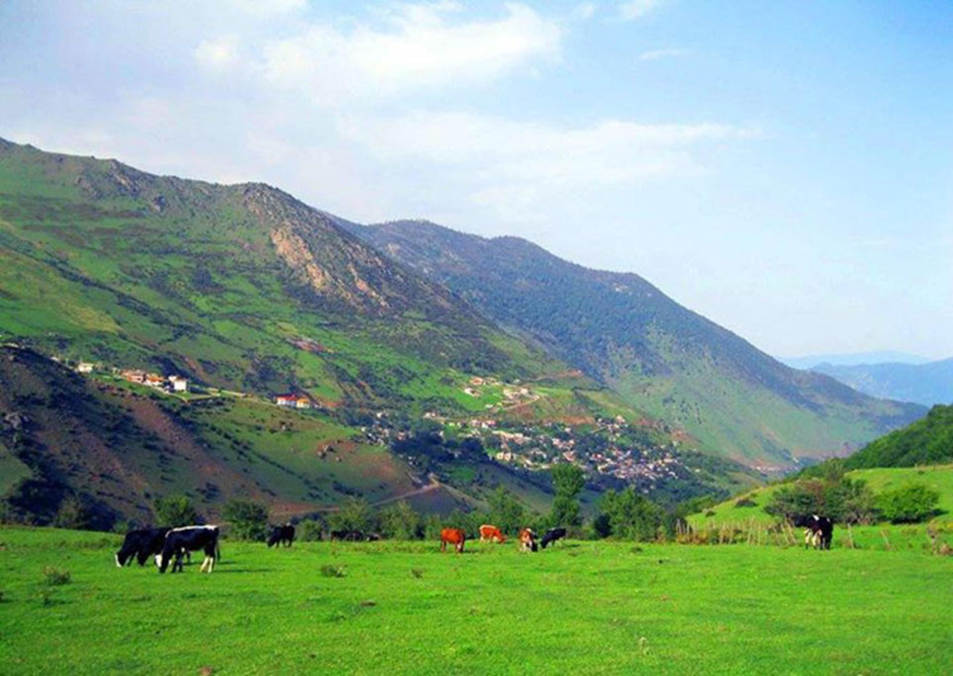 مراتع سرسبز روستاهای اطراف چالوس