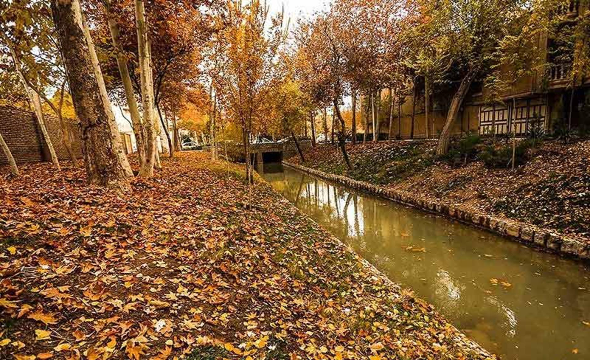 خیابان چهارباغ اصفهان در پاییز