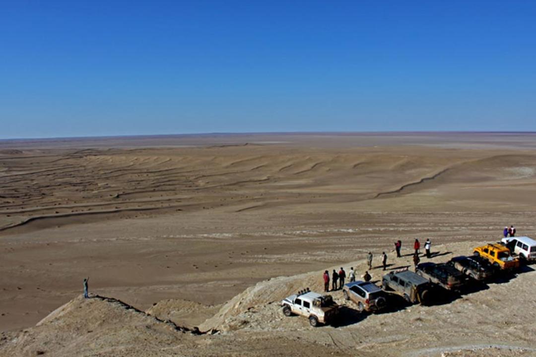 گله ریگ سرگردانی