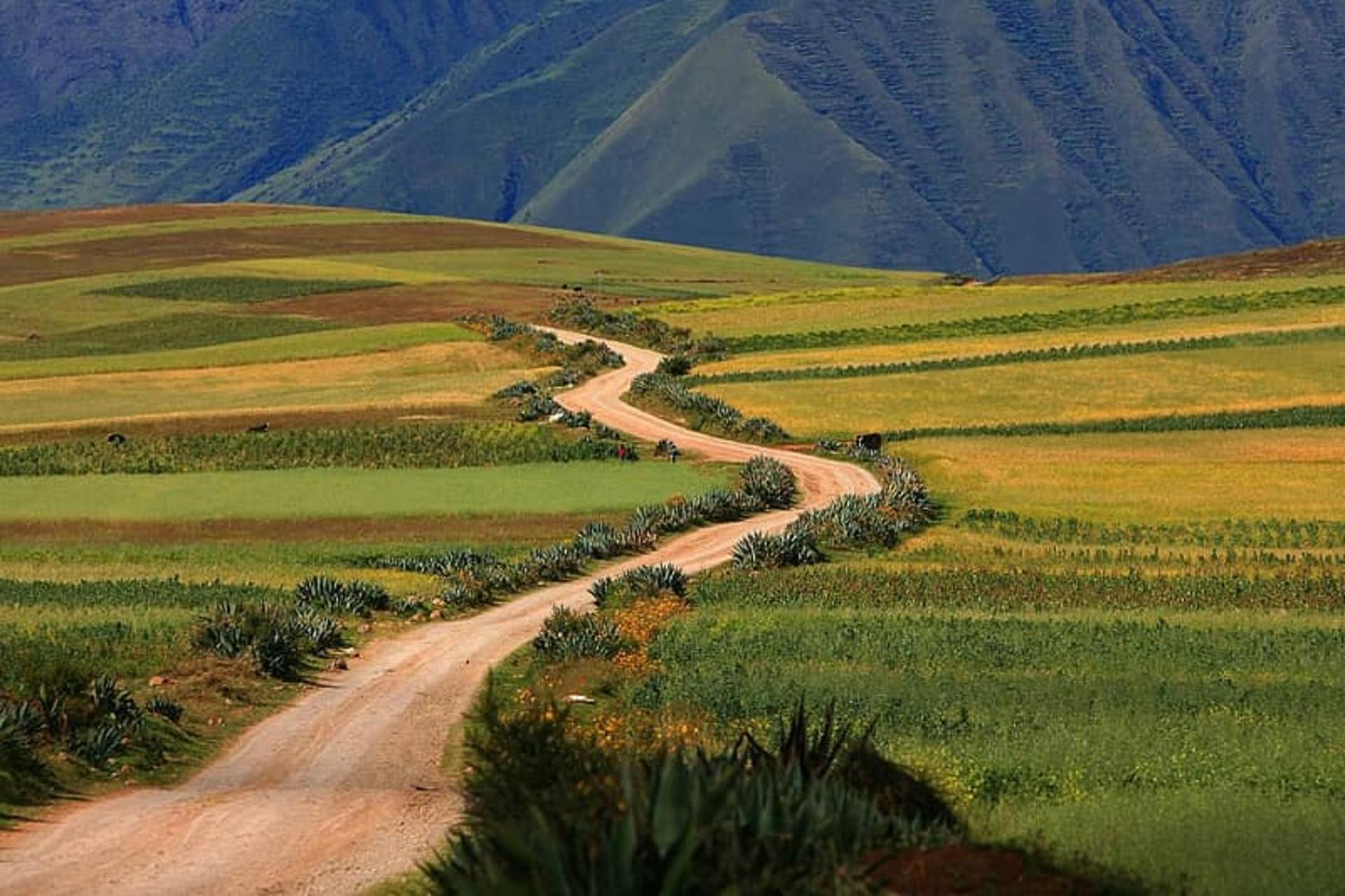 پیش به سوی ماچو پیچو