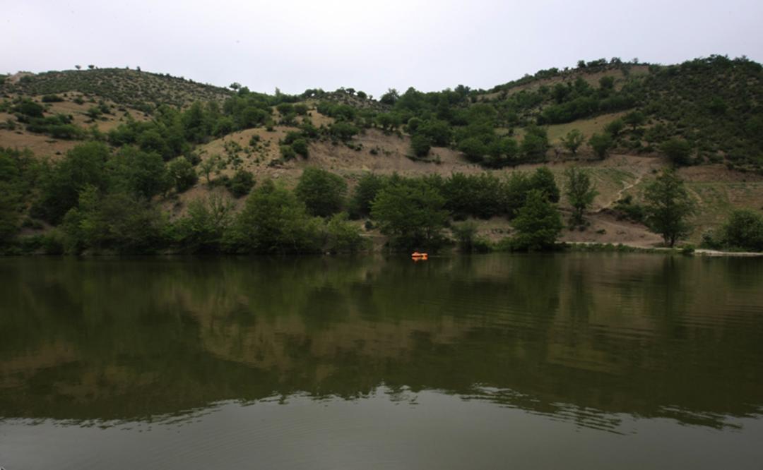 پوشش گیاهی دریاچه شورمست