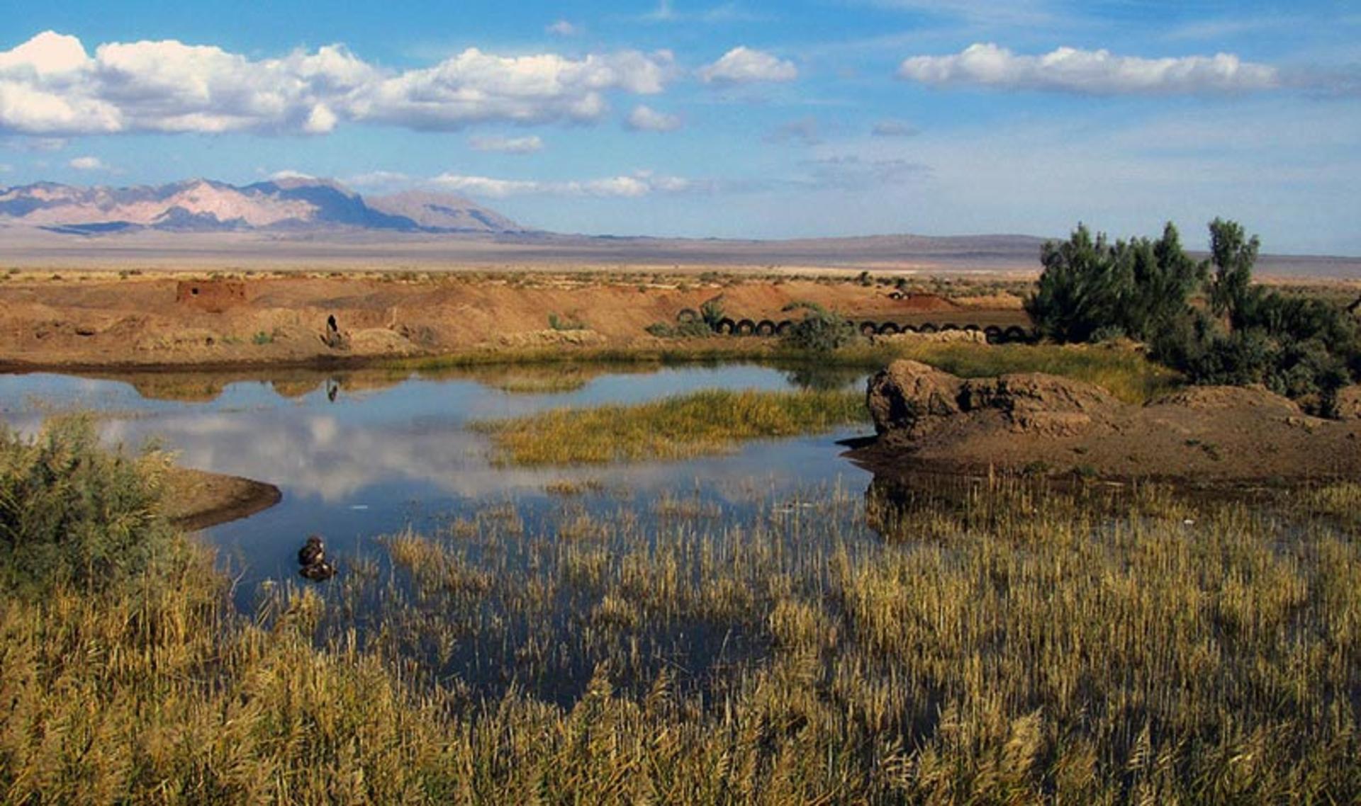 برکه‌ کم آب روستای کویری طرود شاهرود