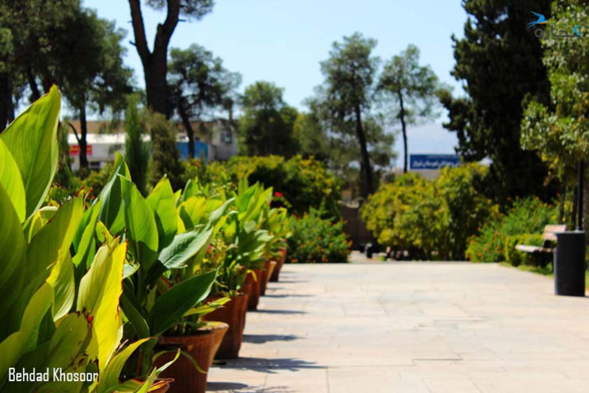 حافظیه