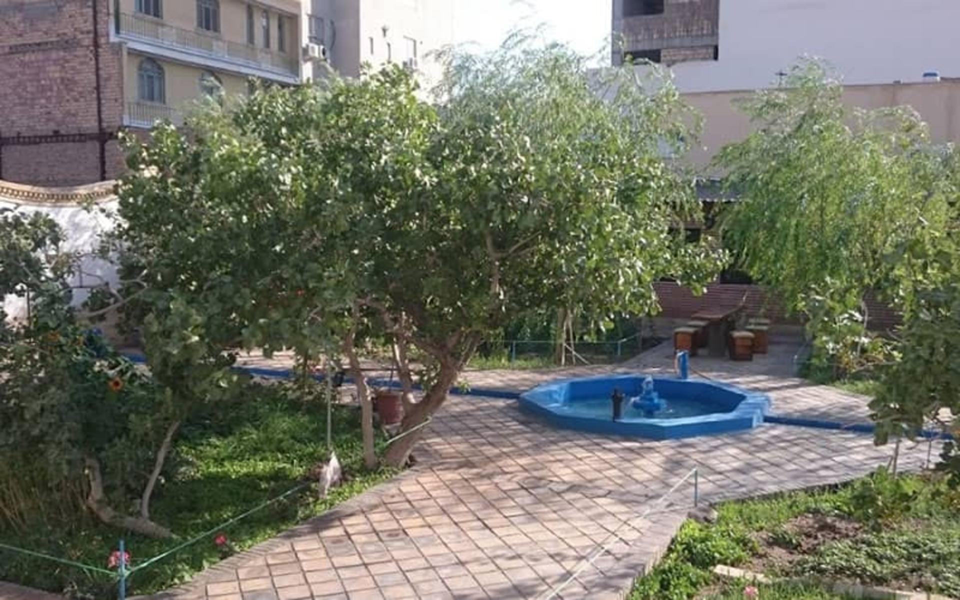 حیاطی پر از درخت و حوضی آبی رنگ در وسط آن