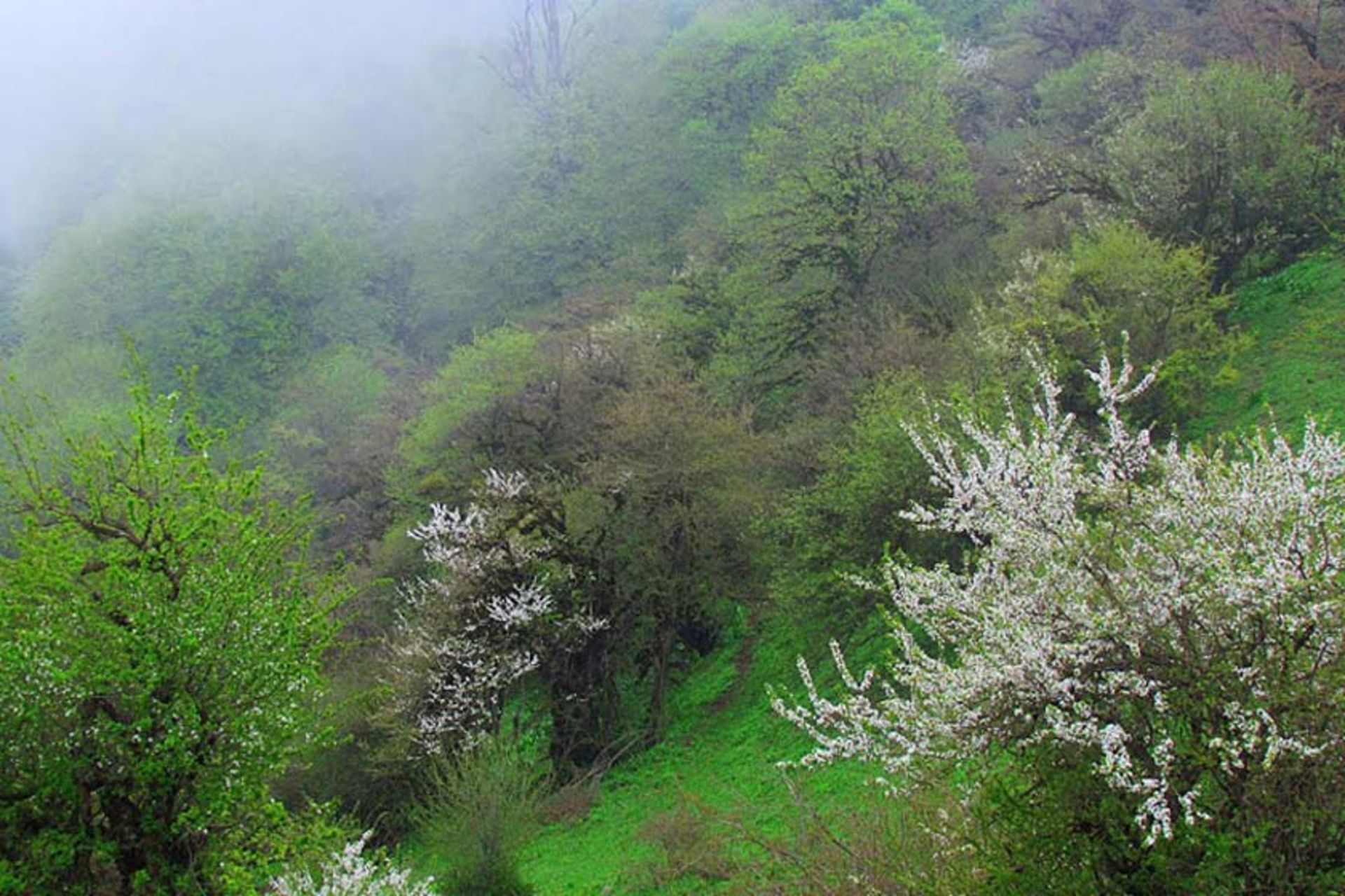 آبشار لاکوه