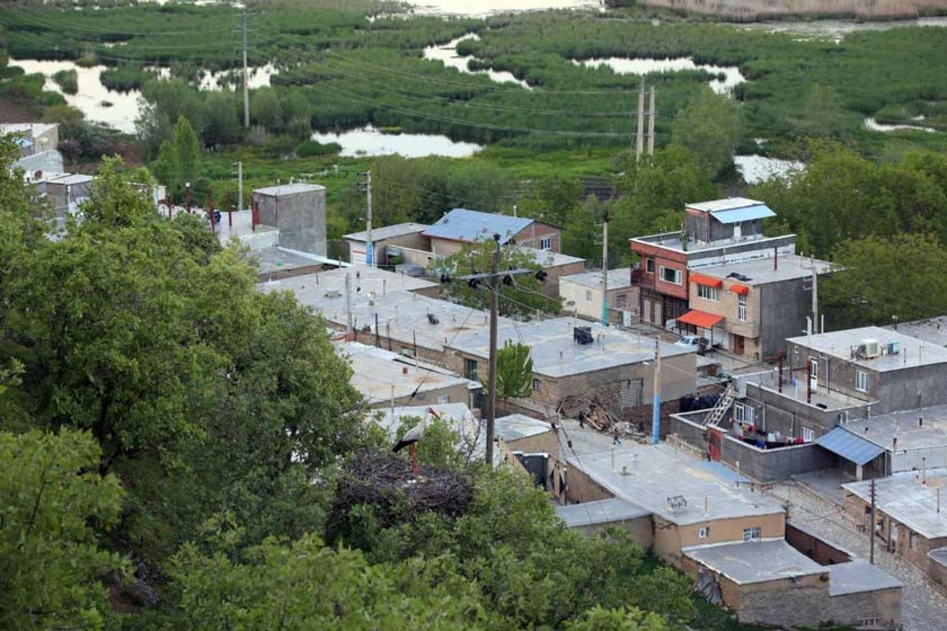 روستای دره تفی