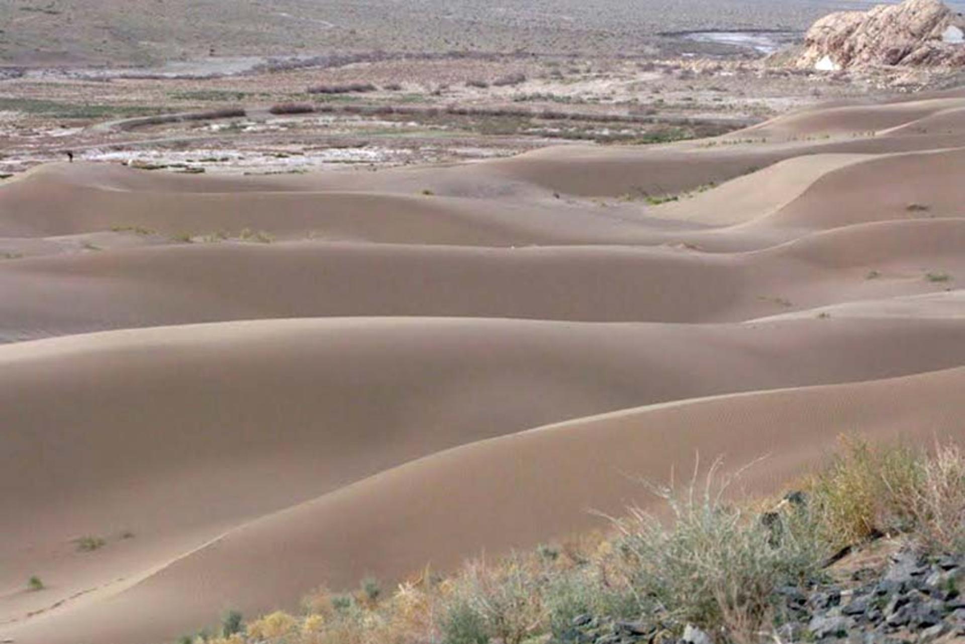 کویر دو شاخ (کویر سبزوار)
