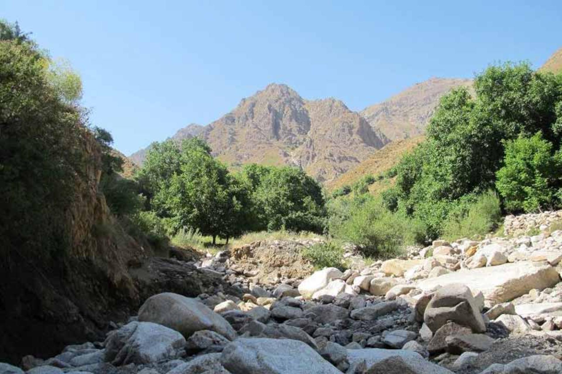 روستای عیش آباد
