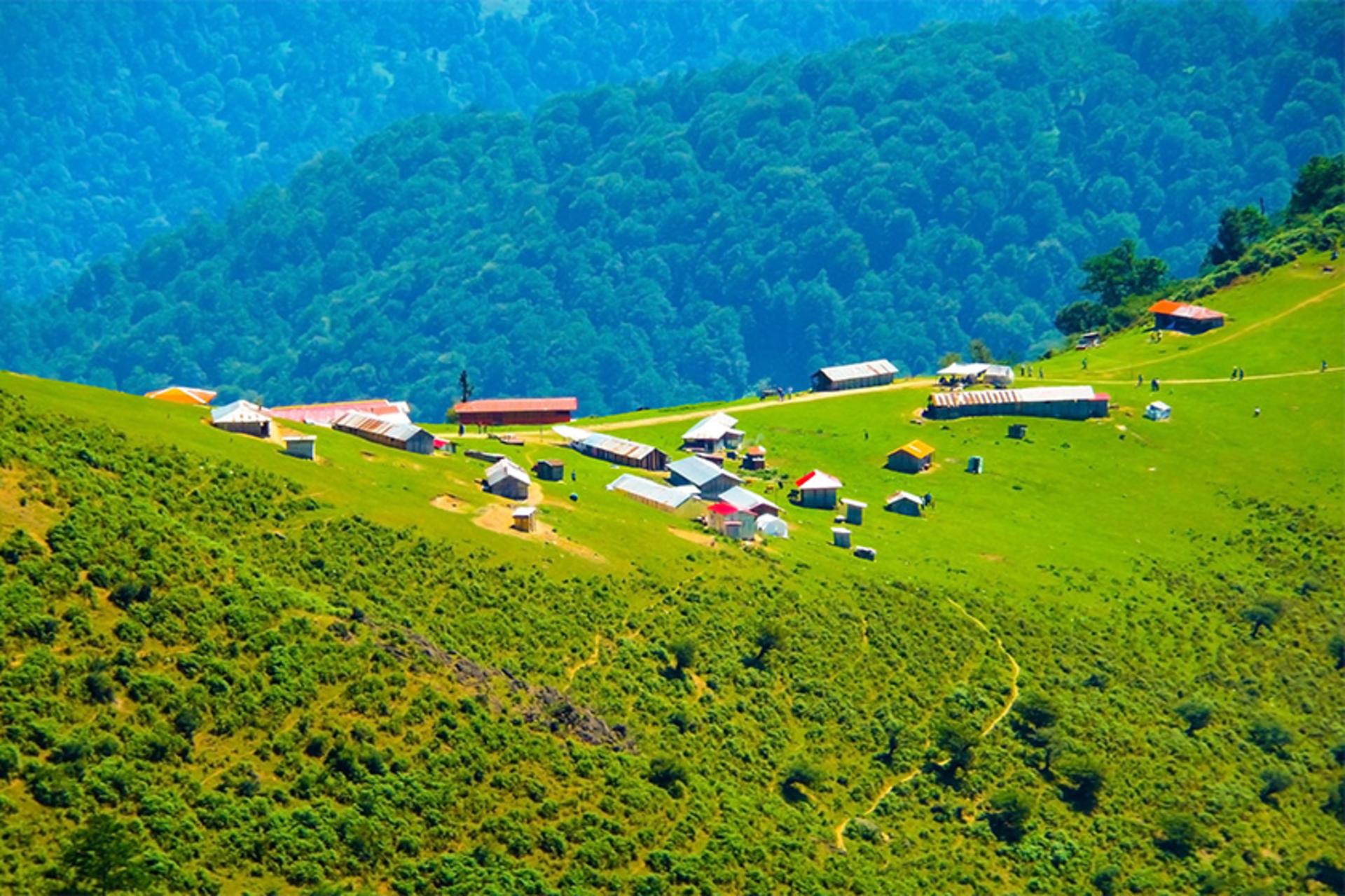 ماسال