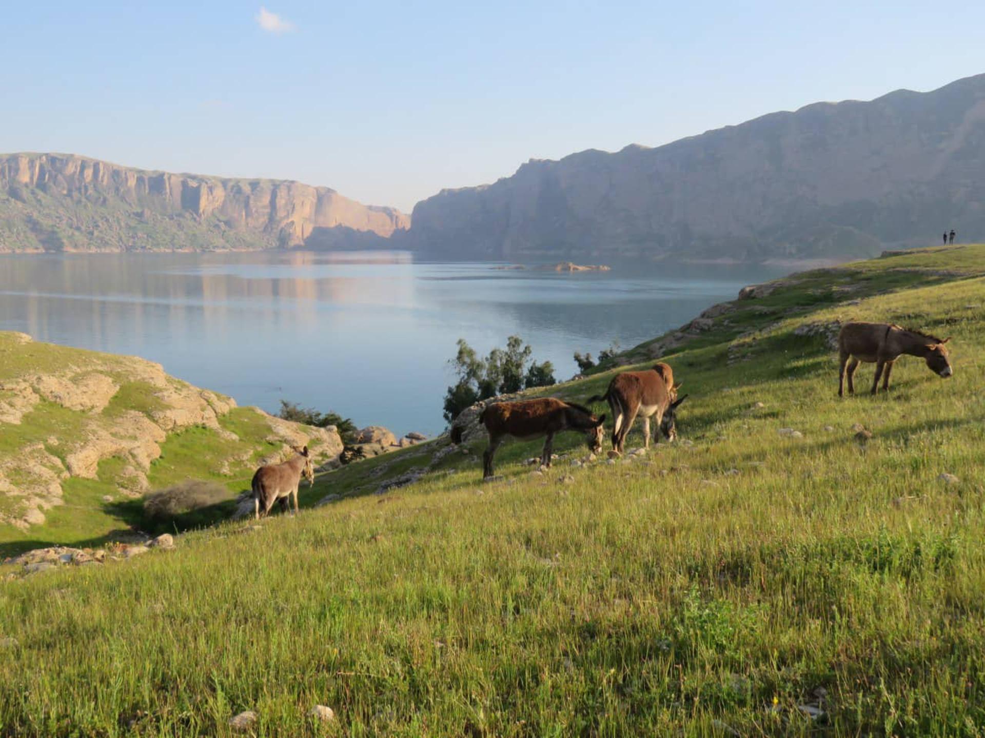 دریاچه تماشایی سد دز
