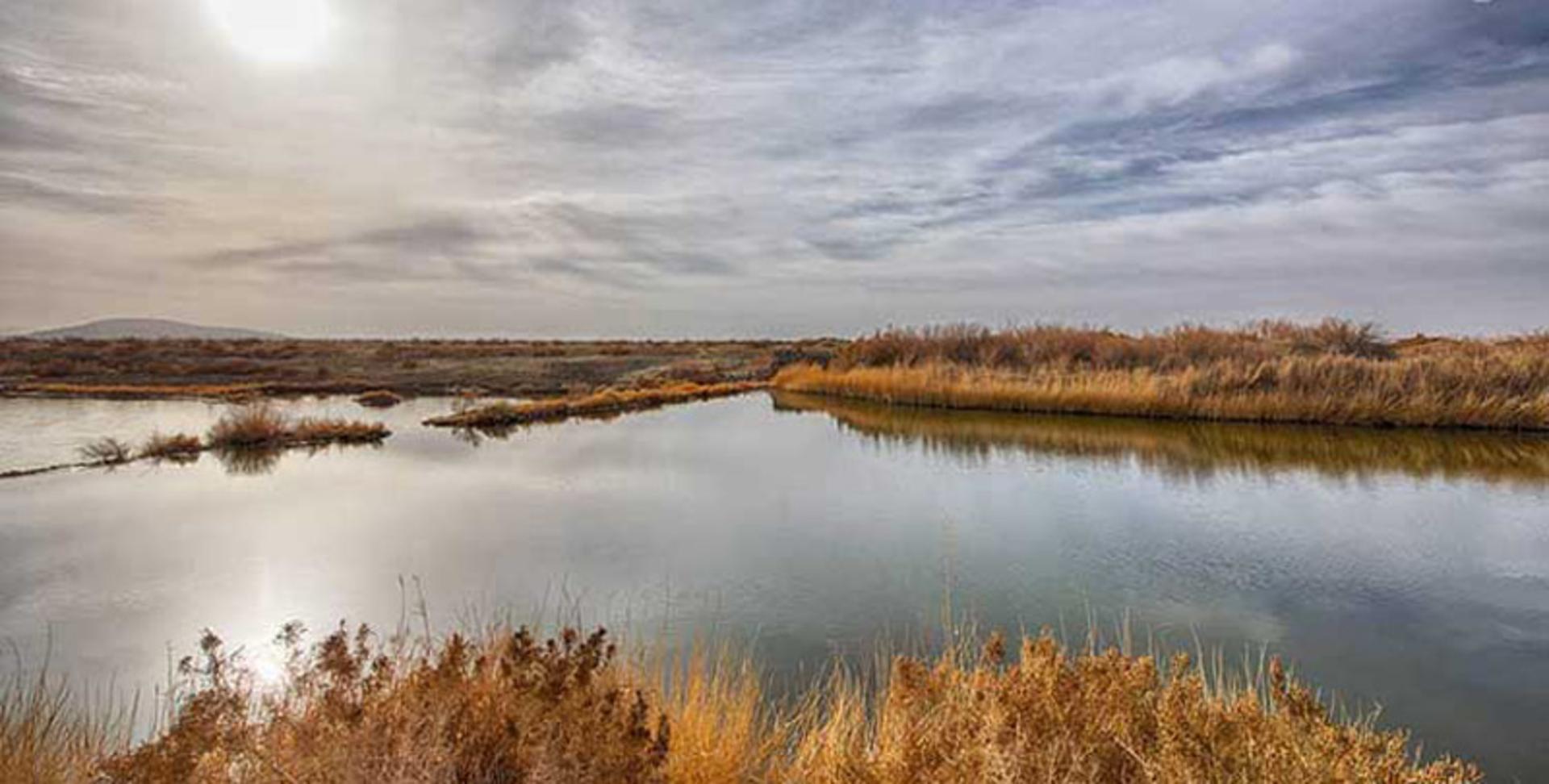 غروب زیبای تالاب گاوخونی در بهار