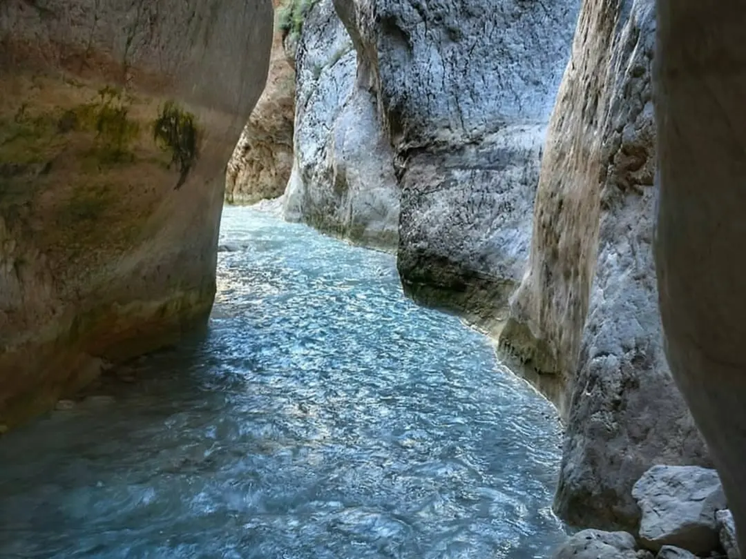گورچینیک دره سی 