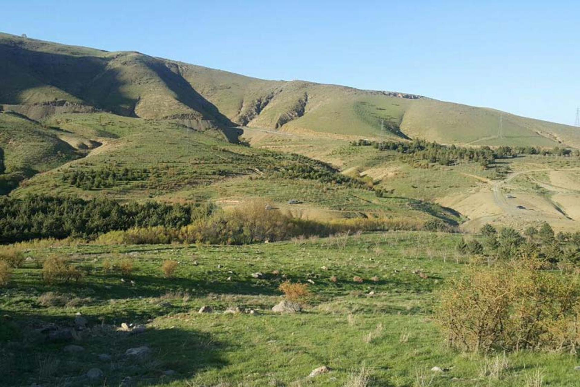 روستای وراینه