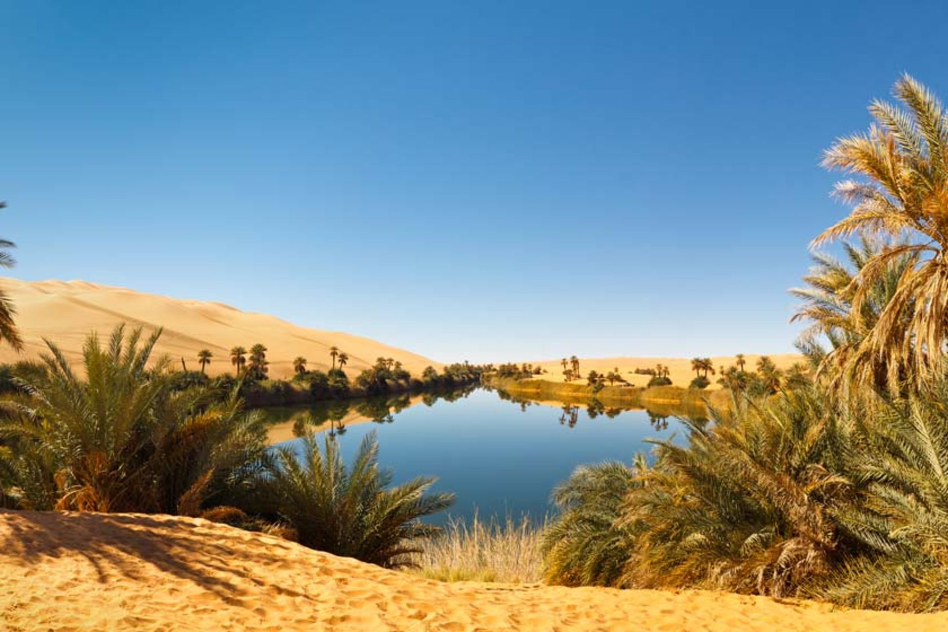 لیبی