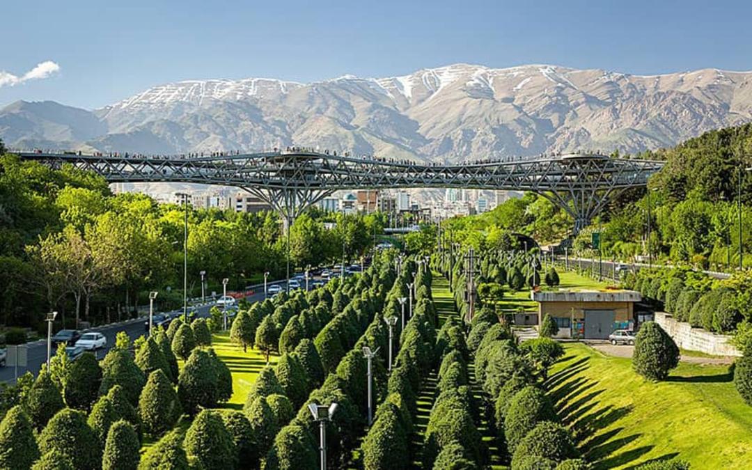 پل طبیعت در بالای اتوبانی مملو از درخت و پس زمینه کوه