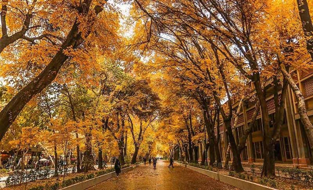 منظره پاییزی خیابان چهارباغ عباسی اصفهان