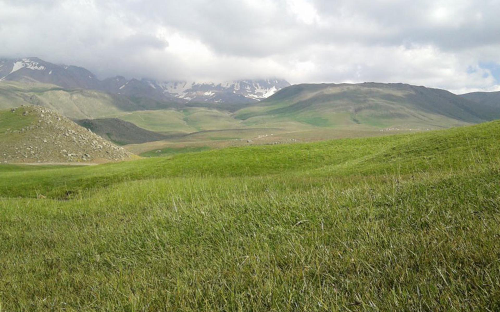 دشت سرسبز در دامنه کوه ساوالان
