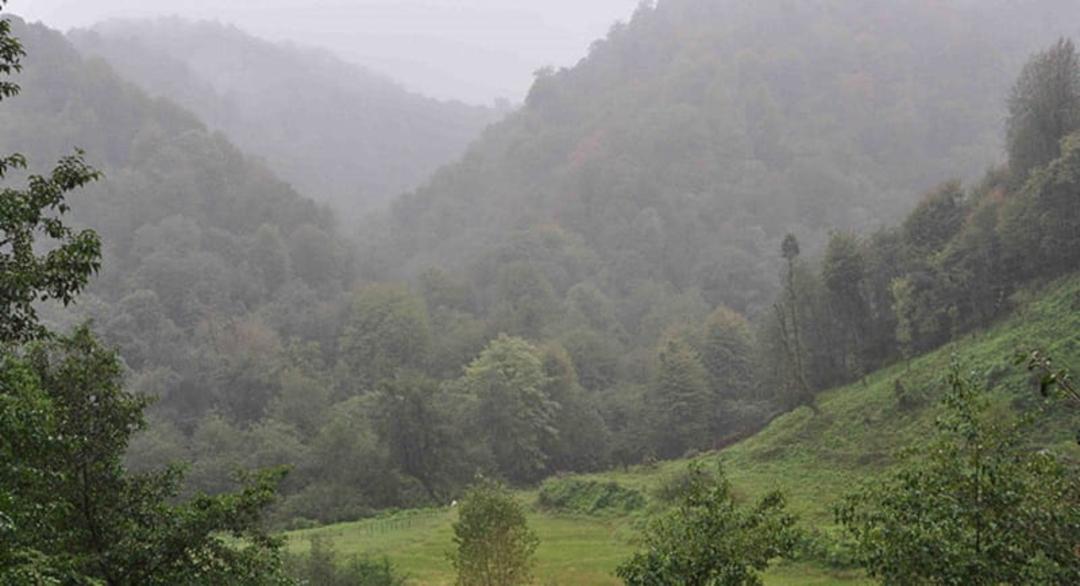 جنگل هفت دغنان
