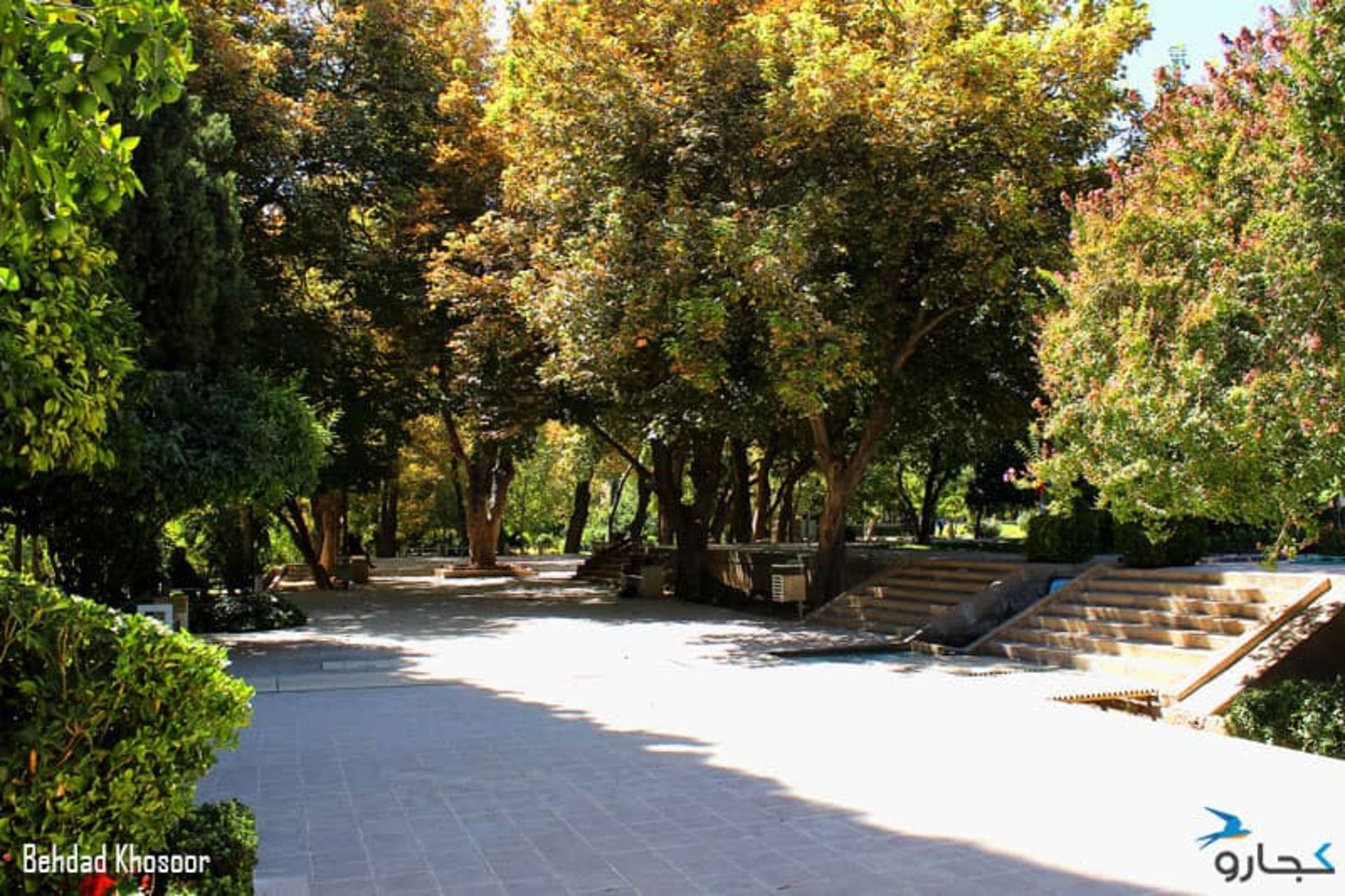 پارکی سرسبز