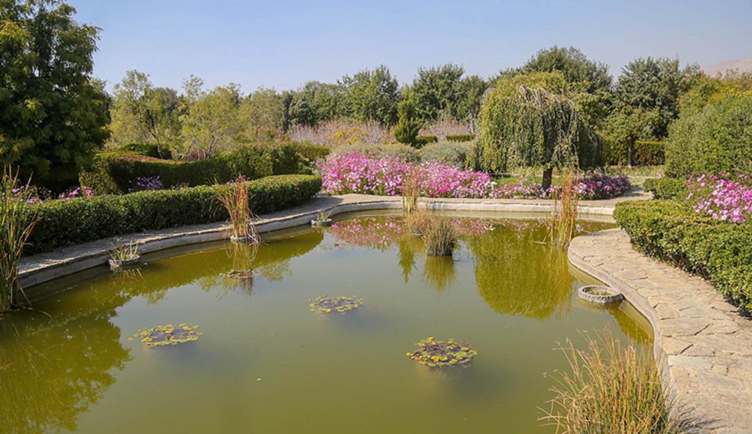 حوضچه باغ گیاه‌شناسی