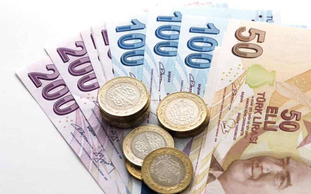 اسکناس و پول خرد ترکیه