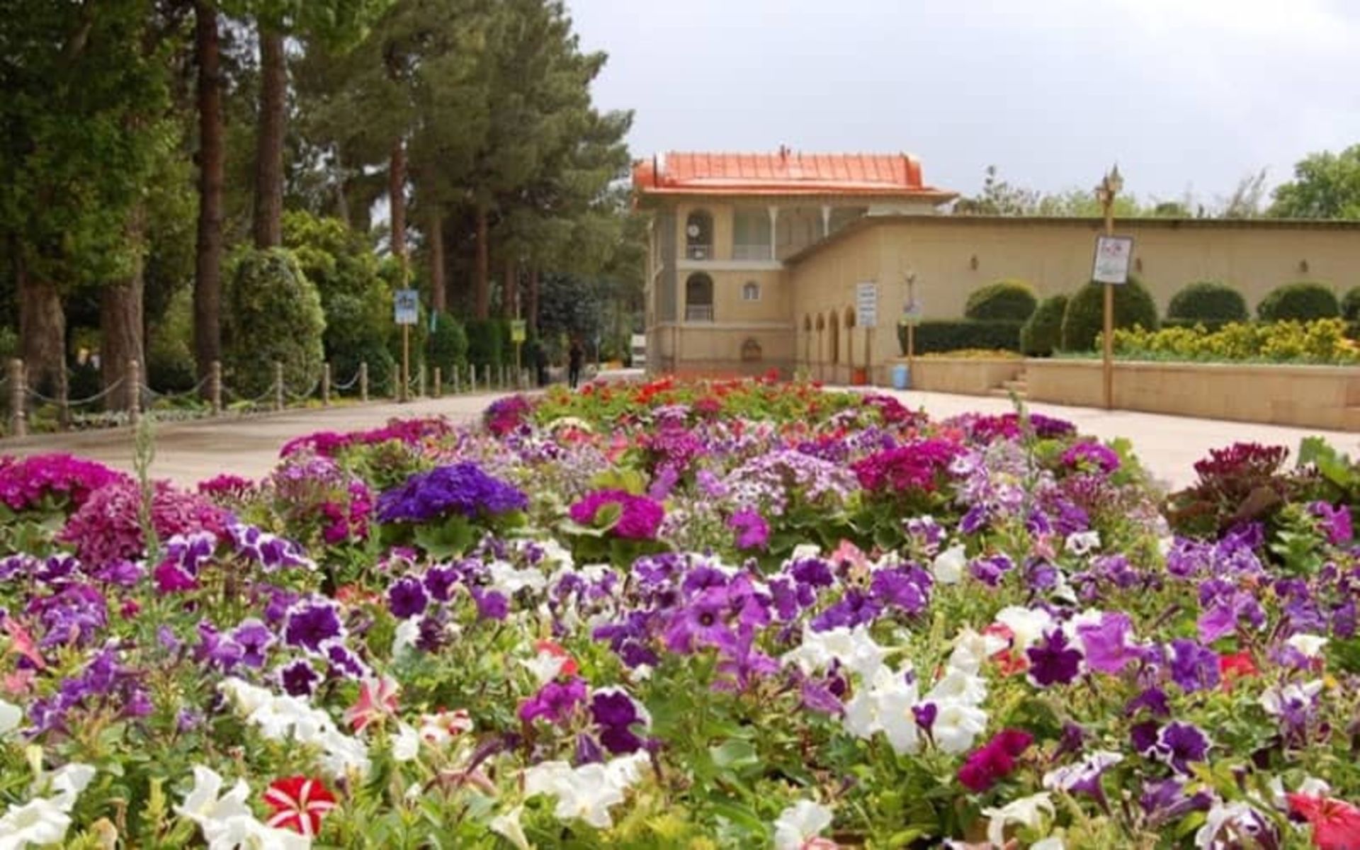 باغچه ای با گلهای رنگارنگ