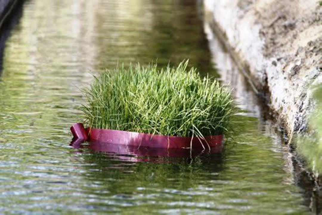به آب انداختن سبزه در روز سیزده بدر