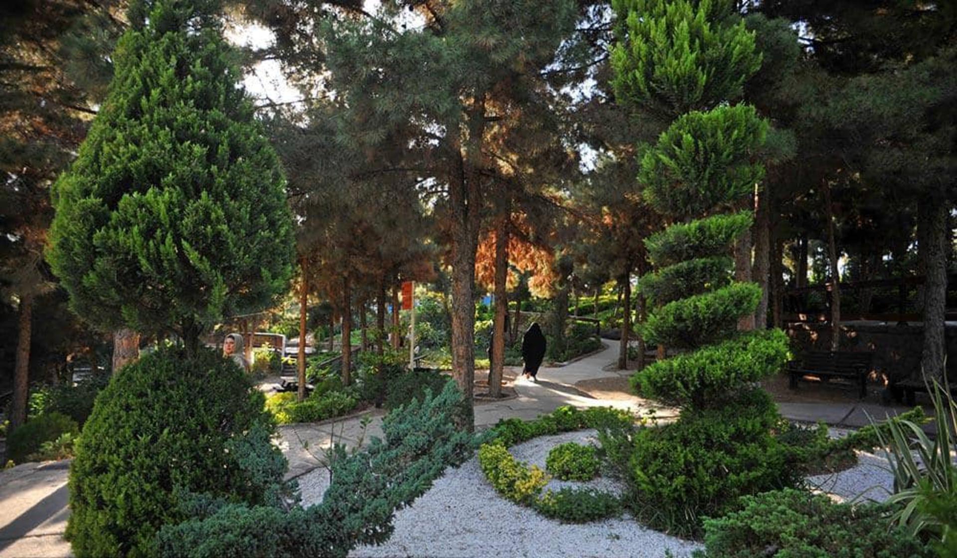 مسیرهای سنگ فرش شده پرندگان تهران