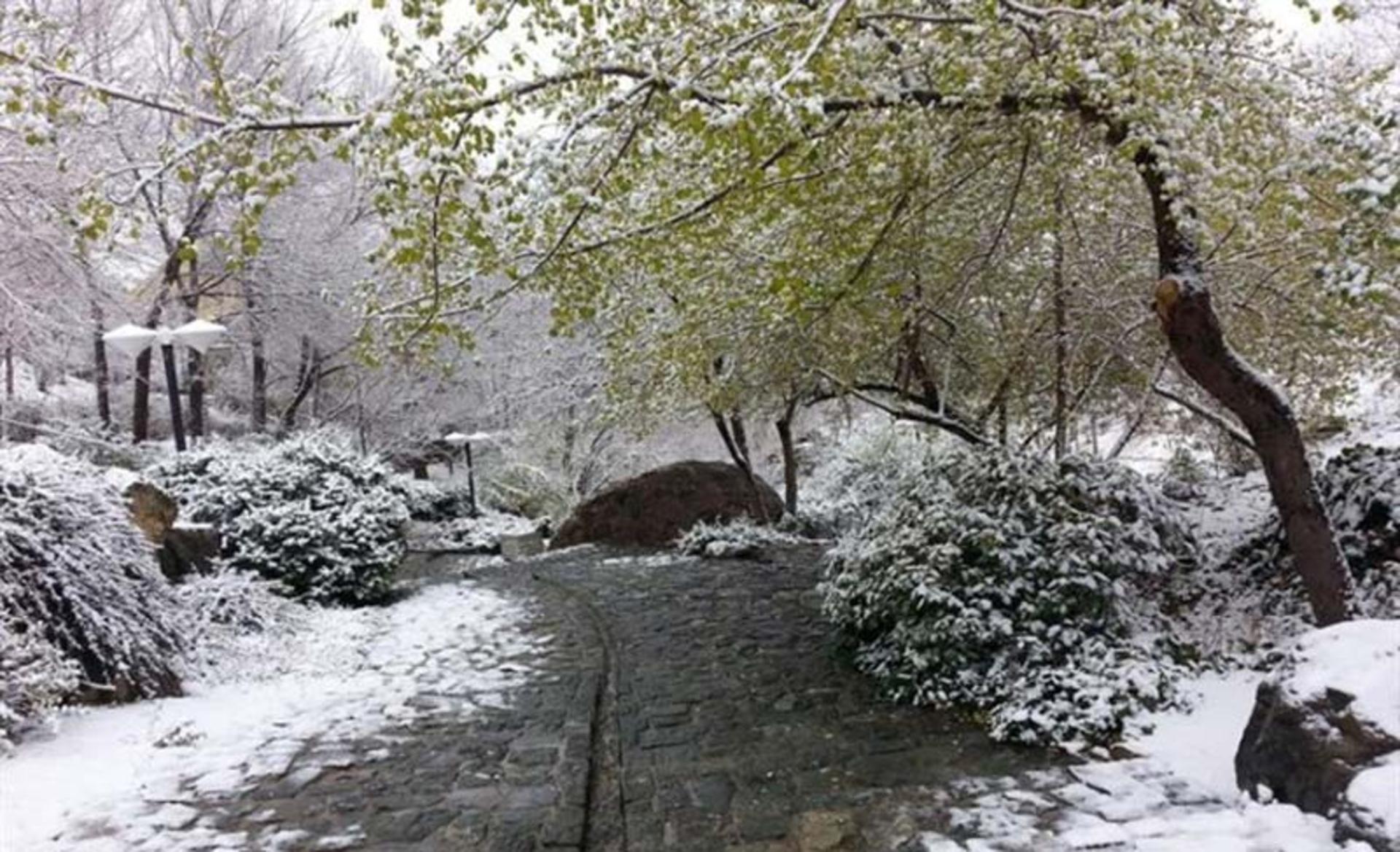 پارک سنگی جمشیدیه پوشیده از برف