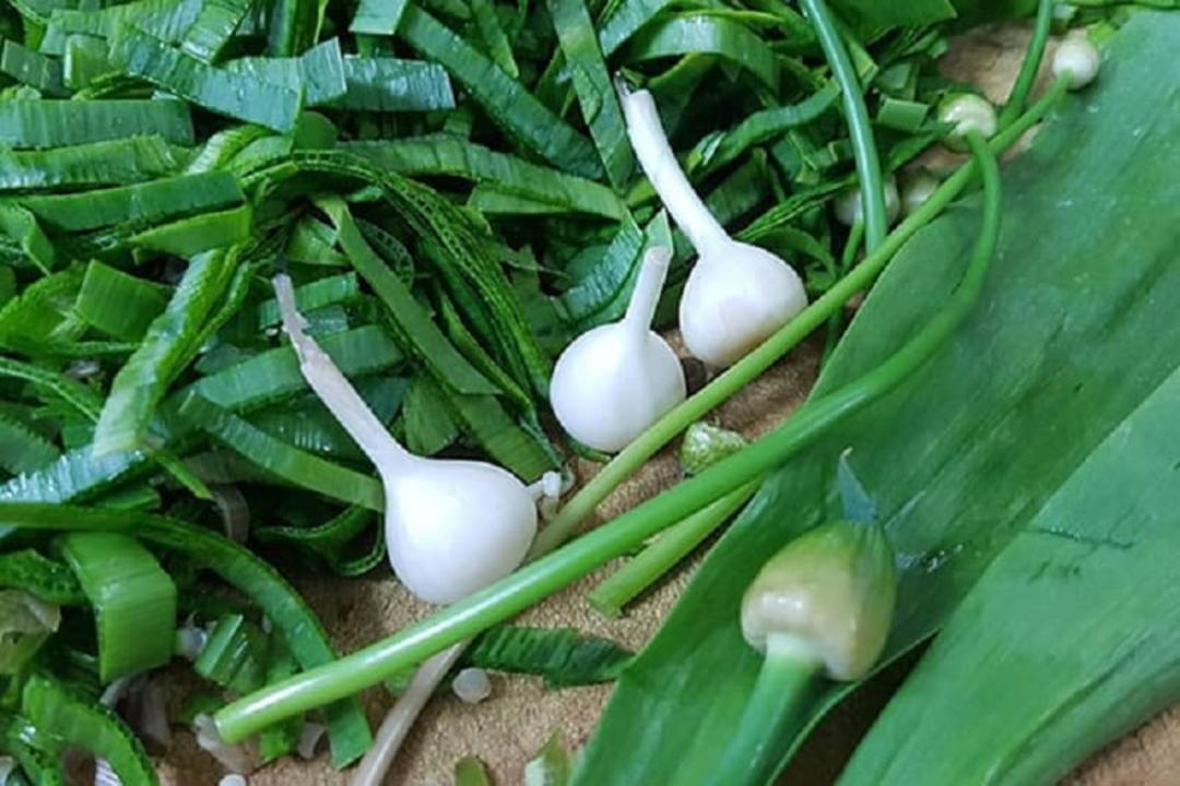  والک