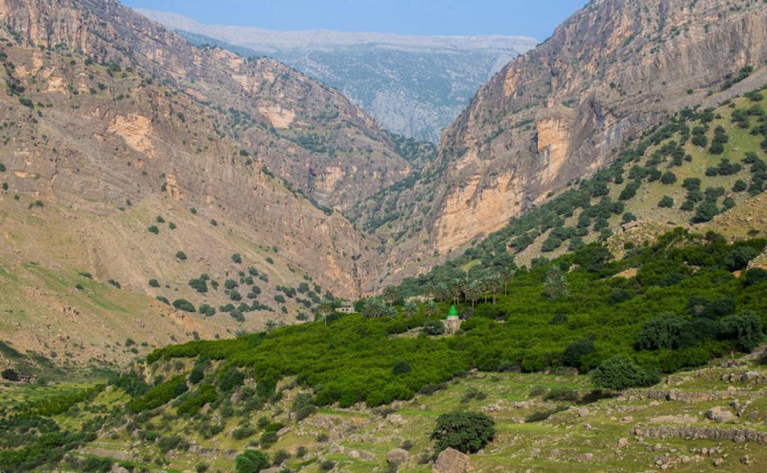 امام زاده روستای شوی در دامنه کوه