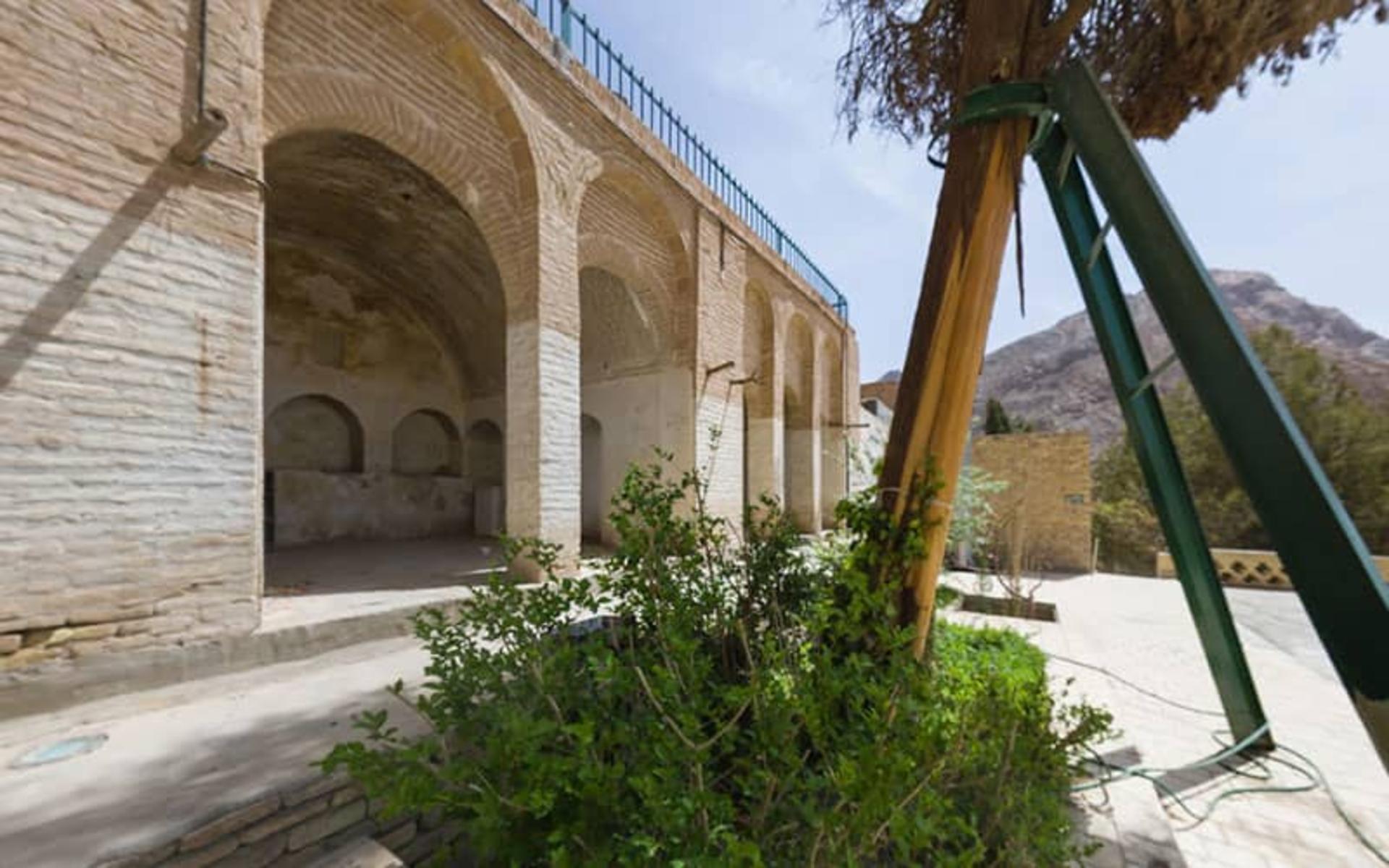 درخت محوطه چک چک