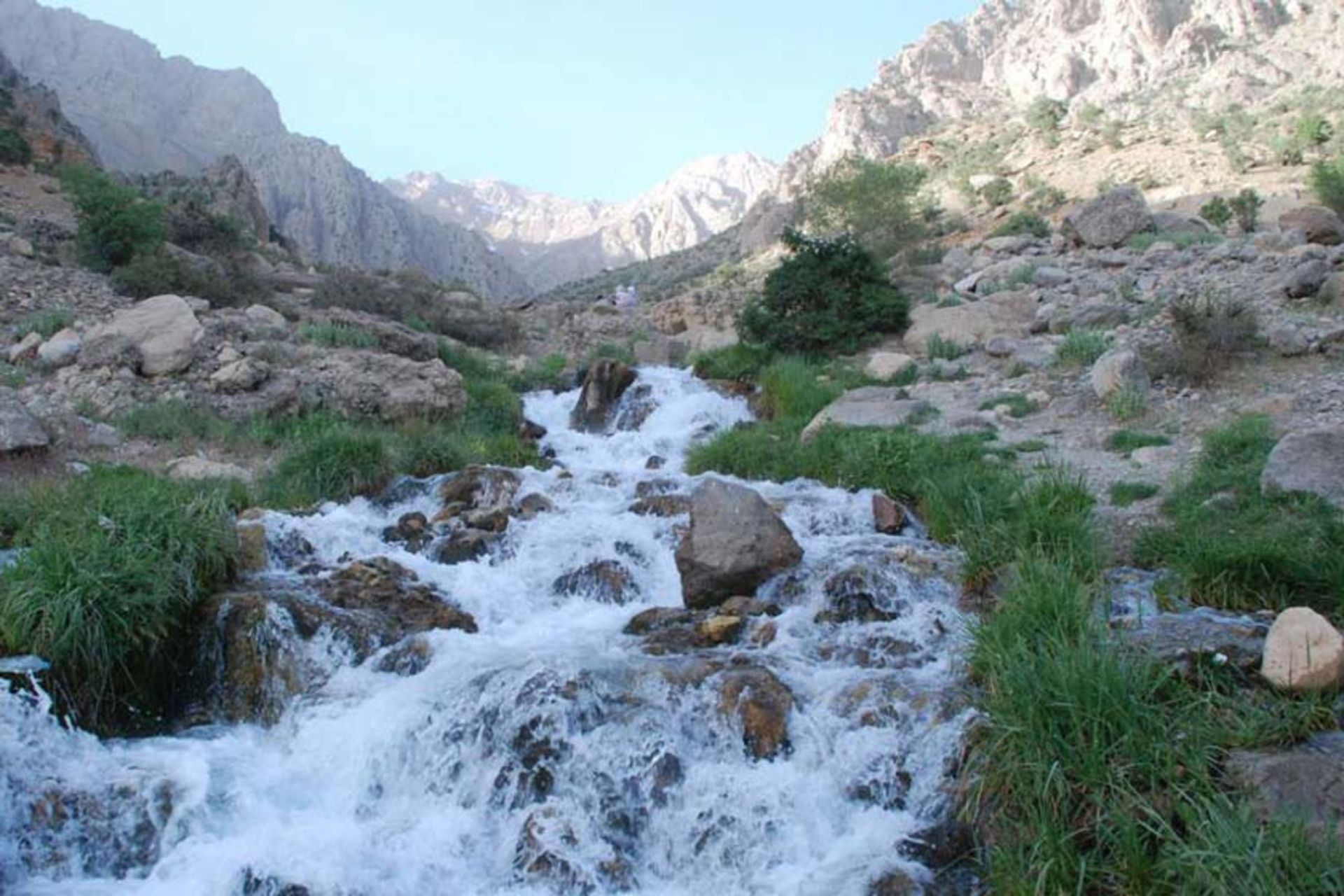 چشمه میشی