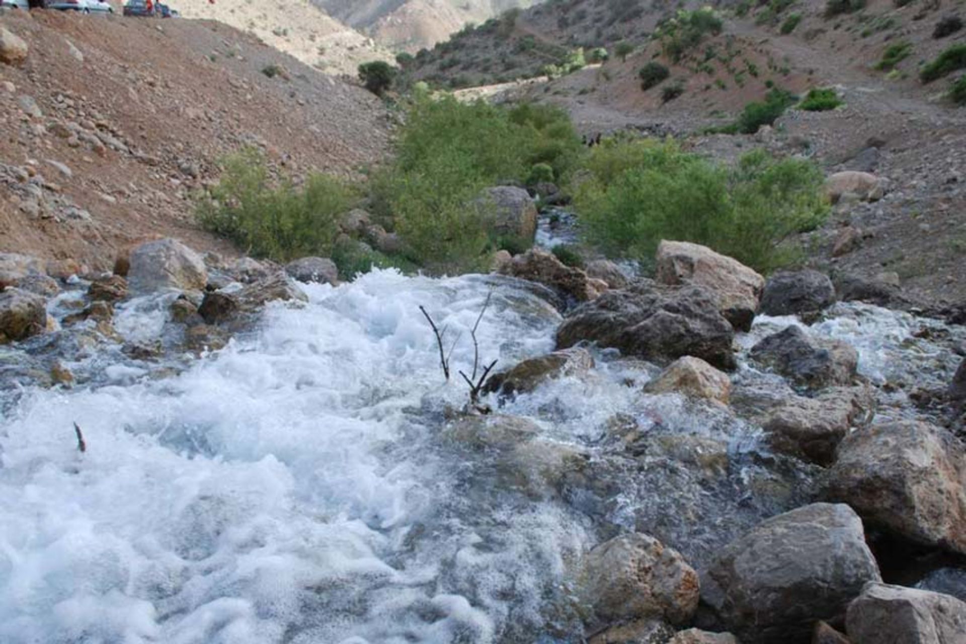 چشمه میشی