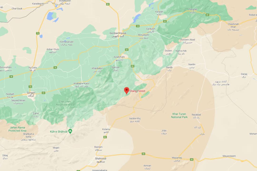 موقعیت جغرافیایی جنگل اولنگ