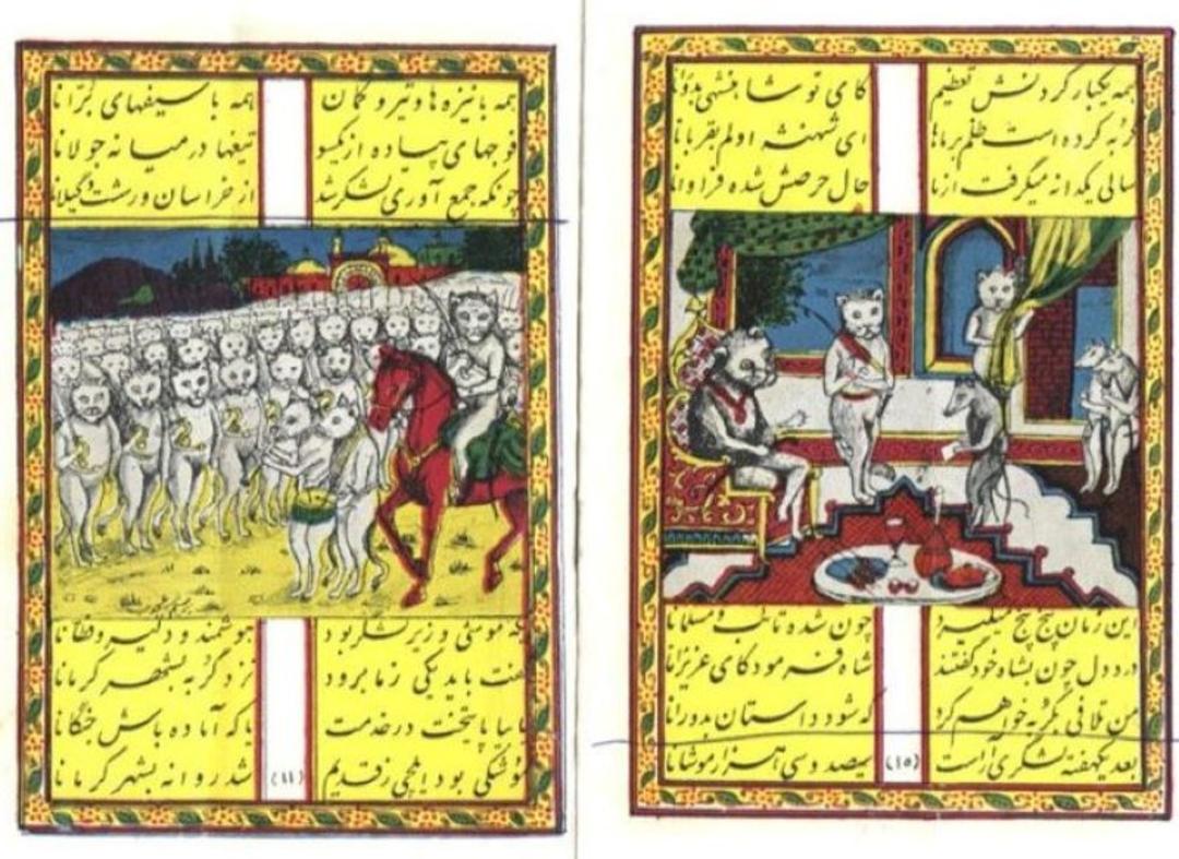 موش و گربه1