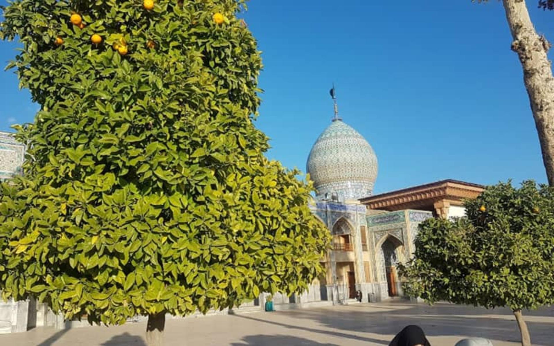 آرامگاه برادر حضرت شاهچراغ (ع)