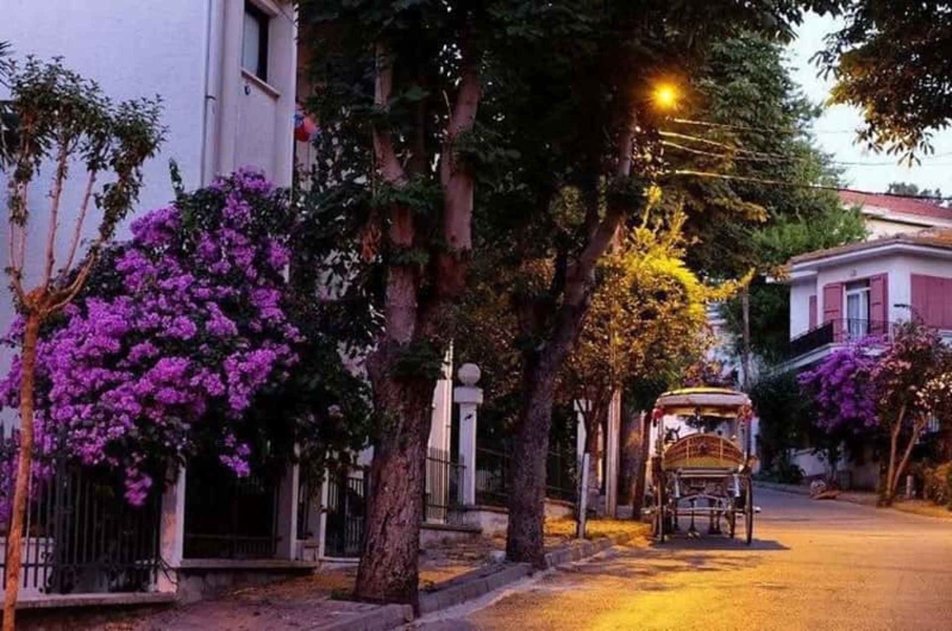 کوچه‌های جزیره بیوک آدا در شب