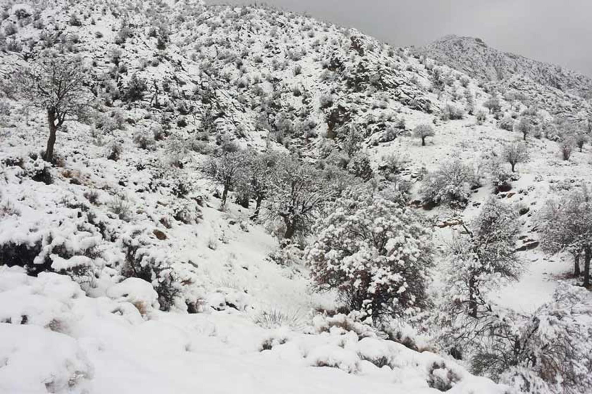 زمستان در پارک ملی خبر