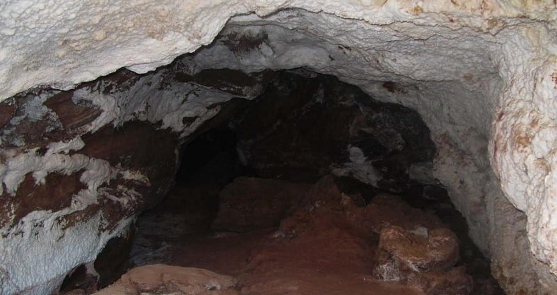 جزیره تاریخی هرمز