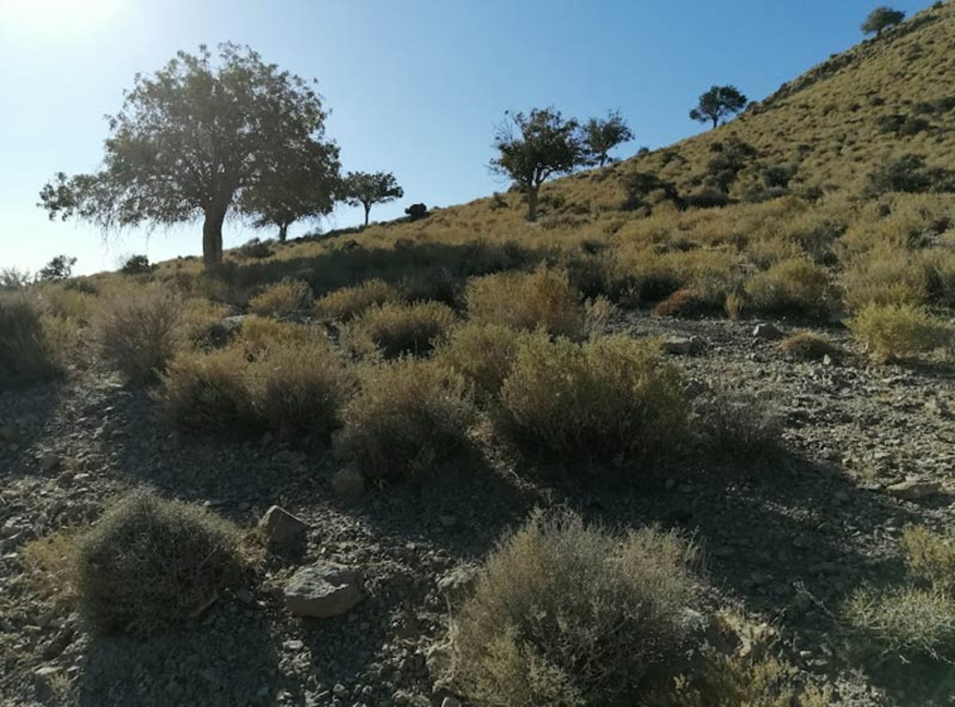 پارک ملی خبر کرمان