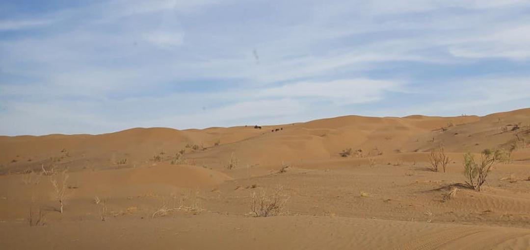 کویر پیمایی
