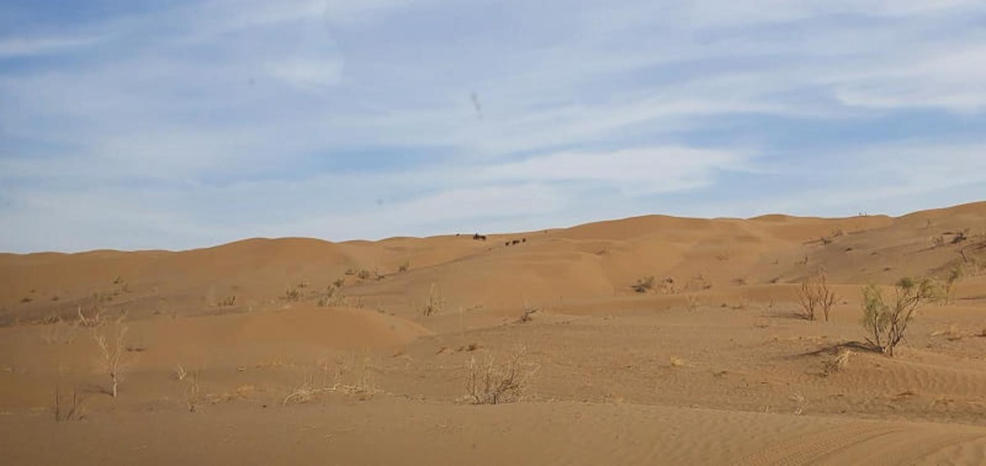 کویر پیمایی