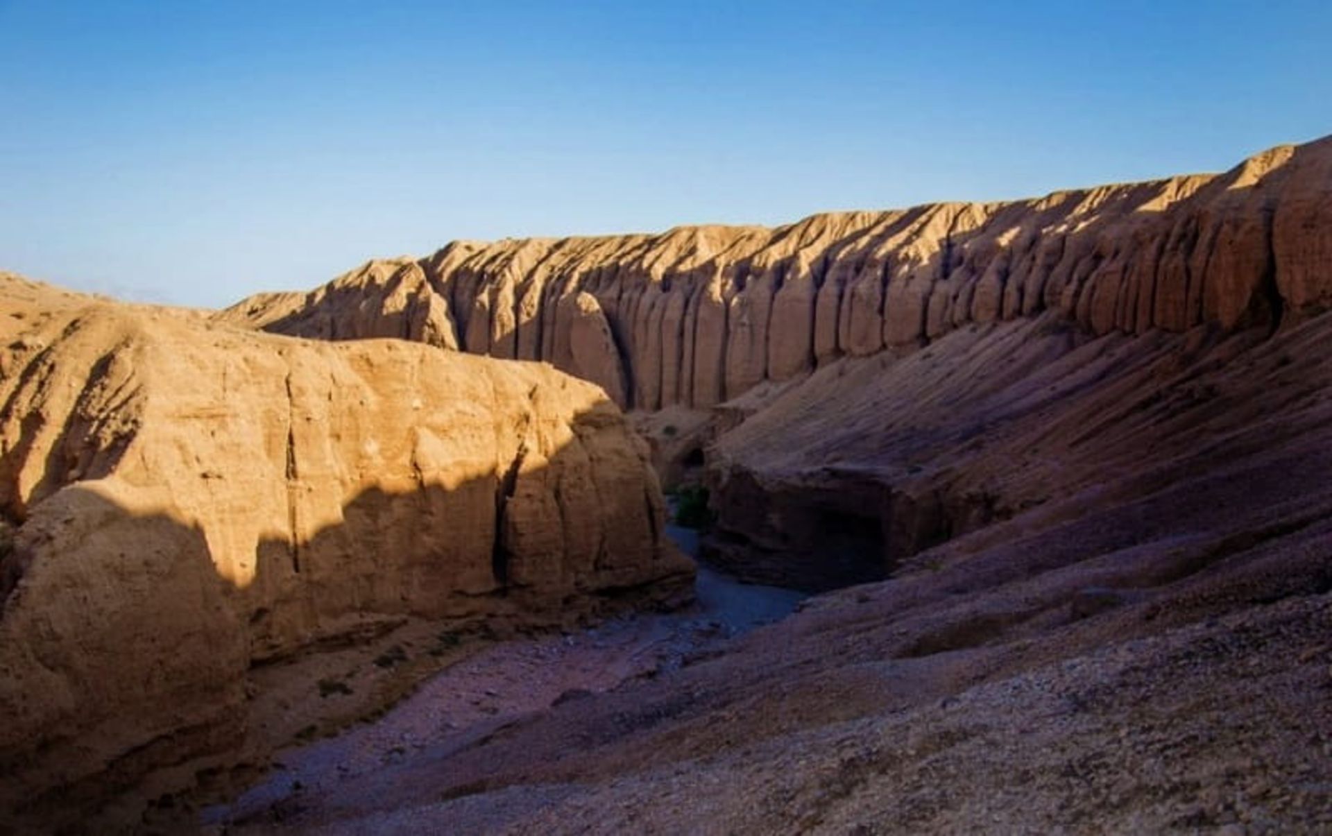 بازی نور در کال جنی