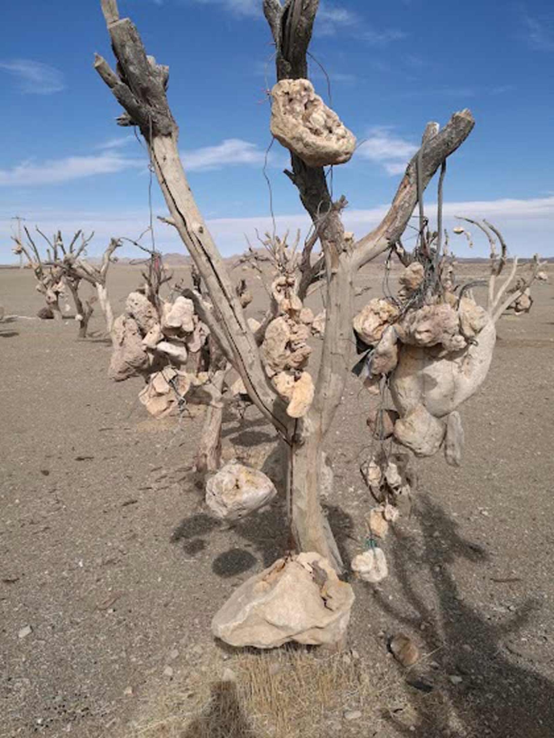 سنگ‌های آویخته از باغ سنگی سیرجان
