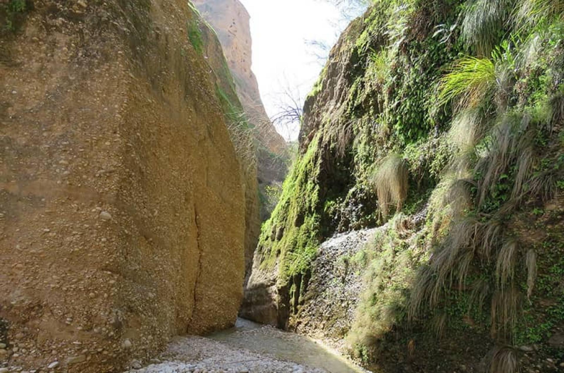 دره سرسبز کول خرسان دزفول