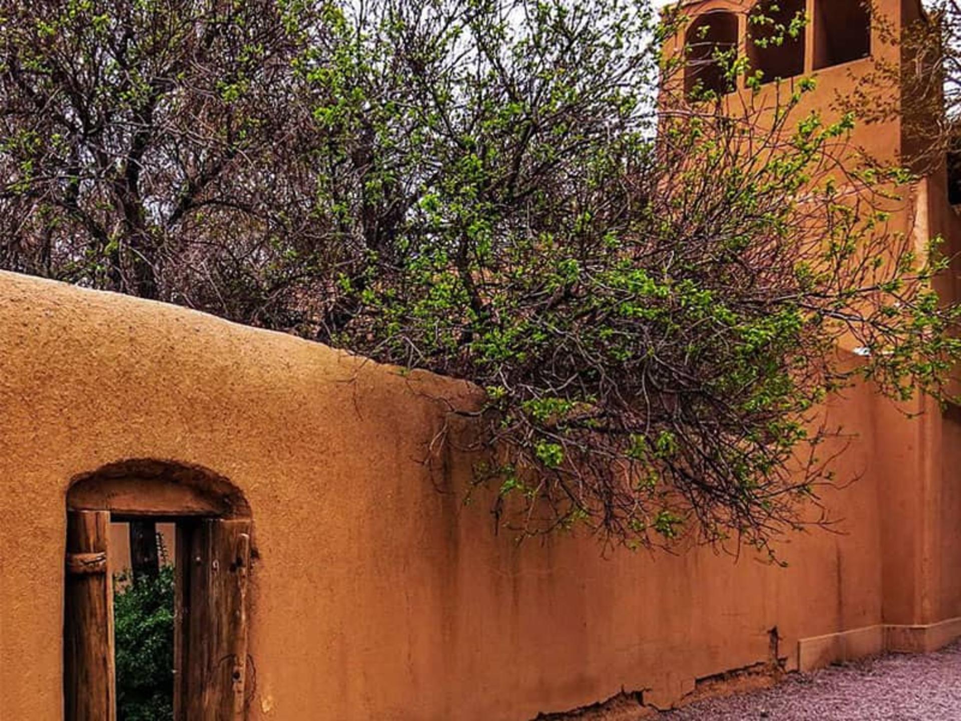 باغ پهلوان پور مهریز