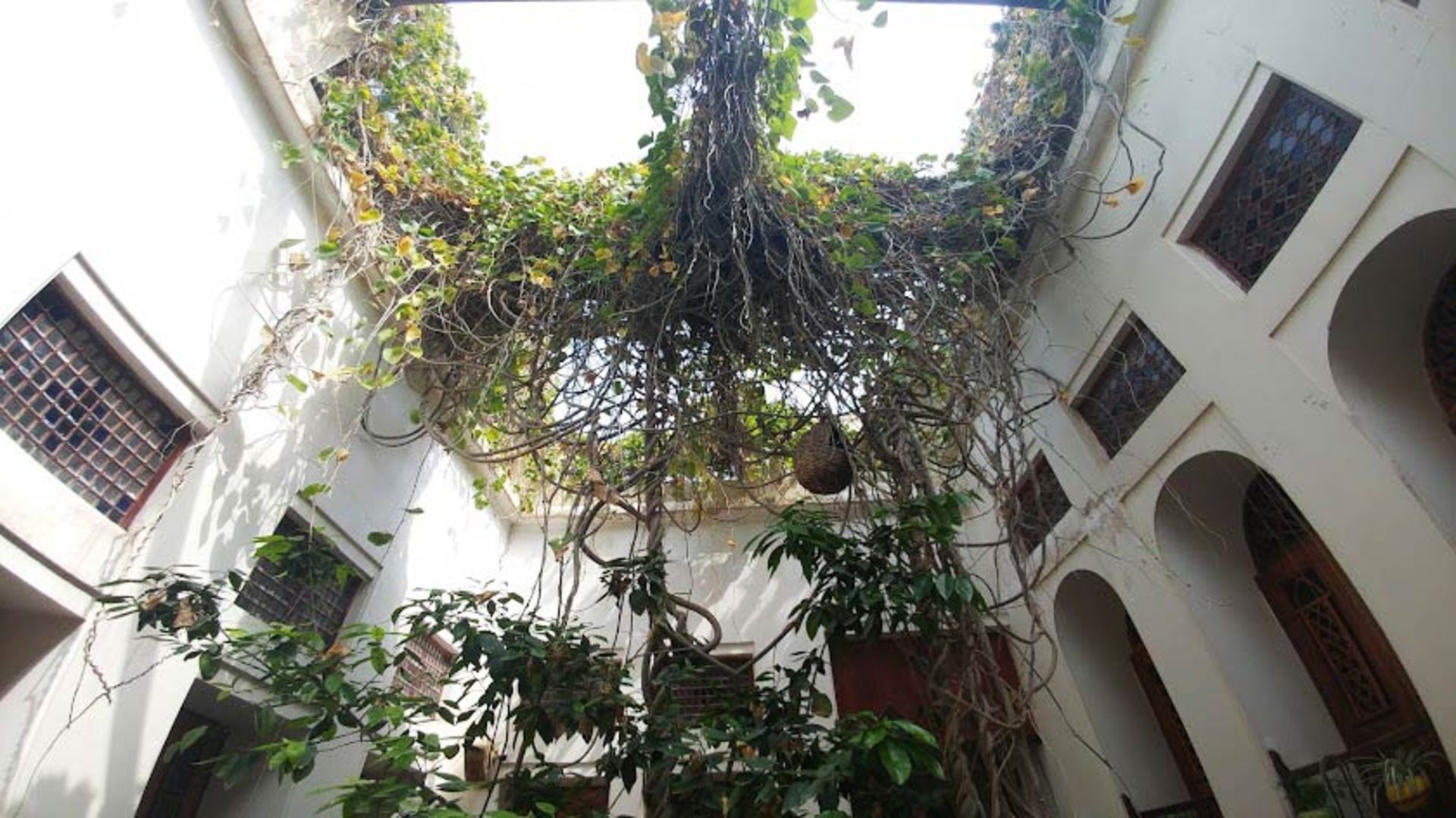 عمارت دهدشتی بوشهر