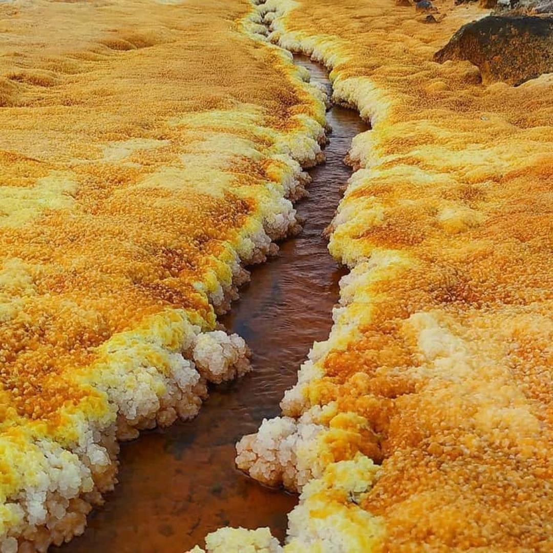 رودخانه طلا هرمز