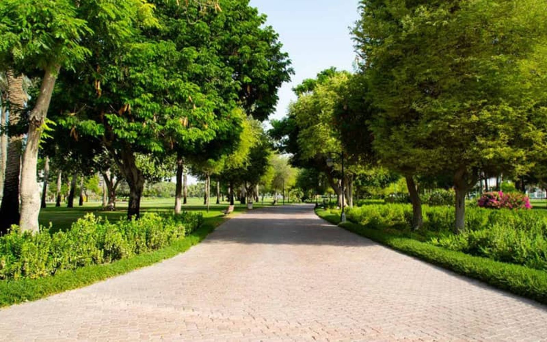 پارک صفا دبی